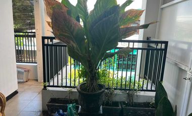 Rumah Bagus Murah dan Strategi  di Kediri Jawa Timur