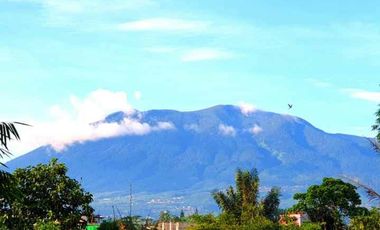 VILLA PUNCAK KOTA BUNGA 2 BED ROOMS TERMURAH BERSIH NYAMAN GUYS