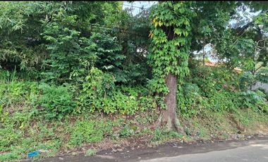 Dijual Lahan di Bandung Barat.Pinggir jalan Cipeundey Cikalong.
