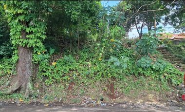 Dijual Lahan di Bandung Barat.Pinggir jalan Cipeundey Cikalong.
