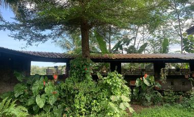 Tanah dan rumah di Pakem Seluas 1101 Meter Persegi Cocok Untuk Homestay