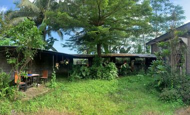 Tanah dan rumah di Pakem Seluas 1101 Meter Persegi Cocok Untuk Homestay