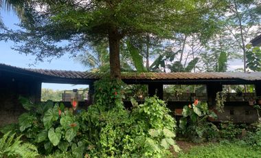 Tanah dan rumah di Pakem Seluas 1101 Meter Persegi Cocok Untuk Homestay