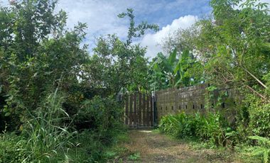 Tanah dan rumah di Pakem Seluas 1101 Meter Persegi Cocok Untuk Homestay