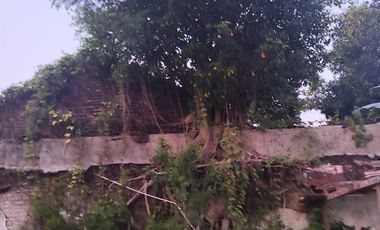 Rumah Dijual Di Punggawan Ketelan Surakarta