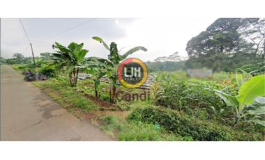 Tanah dijual di Rowosari, Selojetis, Kendal, Jawa Tengah