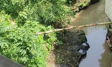 Rumah pinggir sungai asri