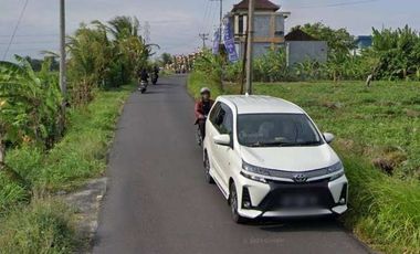 Disewakan Tanah Lokasi Strategis View Sawah di Jl. Kaba-Kaba, Tabanan