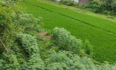 Dijual Rumah di Potorono Banguntapan Yogyakarta, Lt 100m2
