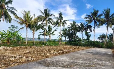 Tanah Murah 3 Menit ke Kampus UAD 4, Siap Bangun