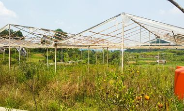 Villa Bagus Luas 2 Hektar + Kebun Tanaman Hydroponic