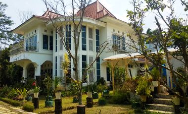 Villa Bagus Luas 2 Hektar + Kebun Tanaman Hydroponic