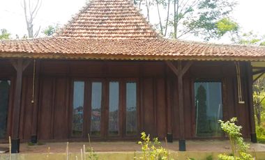 Villa Bagus Luas 2 Hektar + Kebun Tanaman Hydroponic