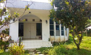 Villa Bagus Luas 2 Hektar + Kebun Tanaman Hydroponic