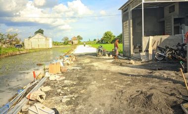 Tanah super murah 50 MTR dari jalan aspal kabupaten