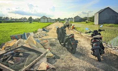 Tanah super murah 50 MTR dari jalan aspal kabupaten