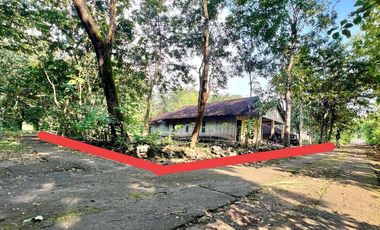 Jual Rumah murah dekat kota Wonosari Gunung Kidul Bonus Tanah Luas