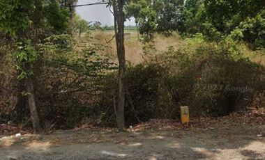 Tanah luas 123 HA harga 800 ribu permeter di Ujung Pangkah, Gresik