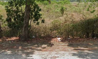 Tanah luas 123 HA harga 800 ribu permeter di Ujung Pangkah, Gresik