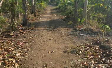 Jual Tanah Sudah Sertifikat di Tuksono, Yogyakarta