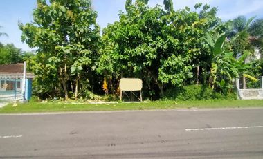 Tanah Pekarangan Luas 1150 Meter Persegi Dekat Pusat Kota Wates