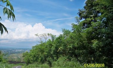 Lahan Tanah  Nongkojajar, Tutur, Pasuruan
