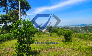 Tanah murah di Lembang cocok untuk Villa dan Kebun