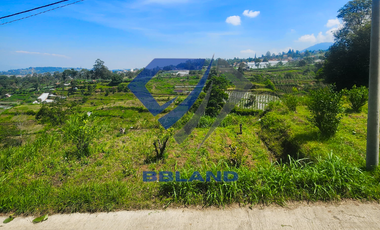 Tanah murah di Lembang cocok untuk Villa dan Kebun