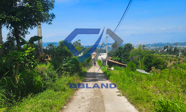 Tanah murah di Lembang cocok untuk Villa dan Kebun