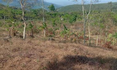 Tanah luas 5641 m2 harga 8,6 Milyar di Trawas. Kabupaten Mojokerto