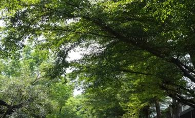 HARVEST BINTARO PROMO BEBAS Semua Biaya 4 Unit Terakhir