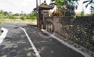 Rice Field View Land in Umalas Kuwum Banjar Semer Kerobokan