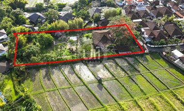 Rice Field View Land in Umalas Kuwum Banjar Semer Kerobokan