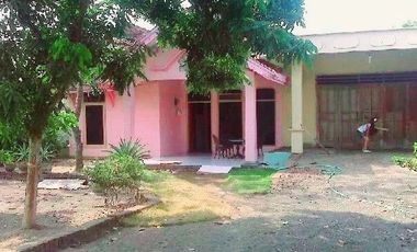 Rumah Prambon sidoarjo + tanah luas nol jalan desa