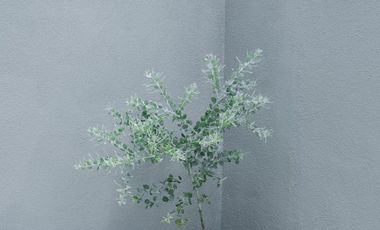 Jual Rumah AirBnb minimalis estetika di geger kalong setiabudi bandung