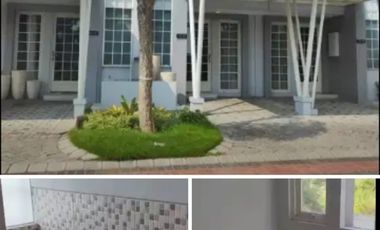 barang langka bisa 1 tahun disewakan queensland grand pakuwon