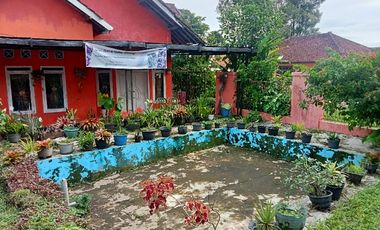 Rumah Siap Huni, Pinggir Jalan Kabupaten, Lt 241, Wanayasa, Purwakarta.