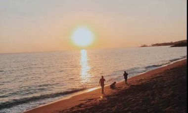 Tanah Murah + Luas 300Are Di Bibir Pantai Batu Layar,Cocok Untuk Hotel