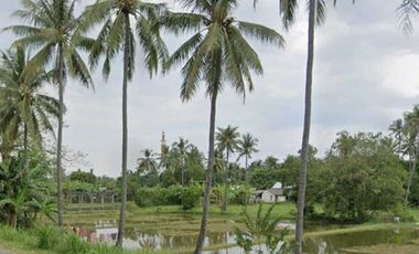 Tanah Murah + Luas 300Are Di Bibir Pantai Batu Layar,Cocok Untuk Hotel
