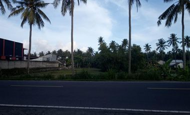 Tanah Murah 0 Jalan Raya Senggigi Lombok,Cocok Untuk Usaha + Investasi