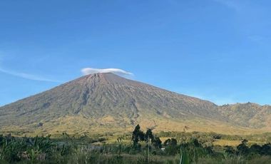 Dijual Cepat Tanah di Sembalun Full View Gunung Rinjani