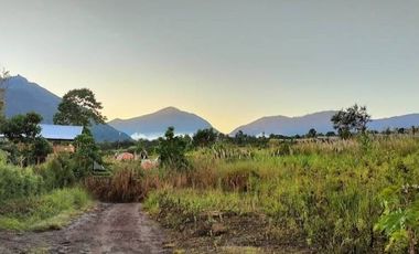 Dijual Cepat Tanah di Sembalun Full View Gunung Rinjani