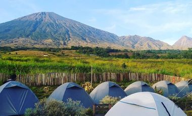 Dijual Cepat Tanah di Sembalun Full View Gunung Rinjani