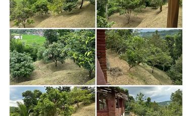 BELI TANAH 2460M BONUS BANGUNAN TENGAH KOTA MAGELANG