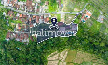 Dijual Hak Milik Villa Luas 6 Kamar Tidur Di Tegalalang