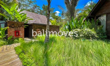 Sewa Jangka Panjang Villa Cantik Satu Kamar Tidur Di Ubud