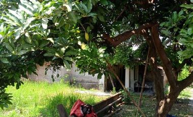 Dijual tanah darat siap bangun lokasi strategis di klaten jawa tengah