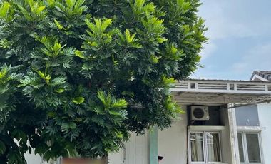 DIJUAL CEPAT RUMAH DI CITRA GRAND CITY SA1/27 PLG