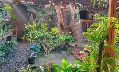 DIJUAL RUMAH  FULL FURNISHED & KEBUN KOPI DI TEMANGGUNG BONUS MOBIL