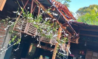 DIJUAL RUMAH  FULL FURNISHED & KEBUN KOPI DI TEMANGGUNG BONUS MOBIL